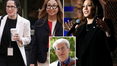 Karen Dunn, other Google lawyers host Kamala Harris fundraiser in middle of DOJ antitrust war