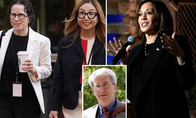 Karen Dunn, other Google lawyers host Kamala Harris fundraiser in middle of DOJ antitrust war