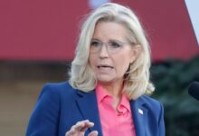 Liz Cheney's shady Jan. 6 texts prove 'save democracy' freakout was opportunism