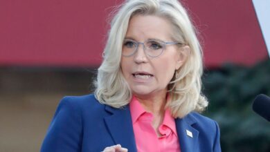 Liz Cheney's shady Jan. 6 texts prove 'save democracy' freakout was opportunism