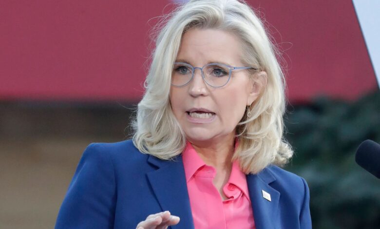 Liz Cheney's shady Jan. 6 texts prove 'save democracy' freakout was opportunism