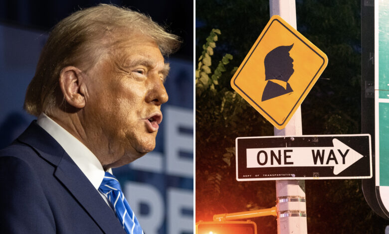 Mysterious Trump 'traffic' signs pop up along NYC streets