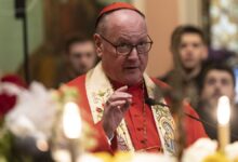 Dolan speaks at Ukrainian Orthodox Church in New York City.