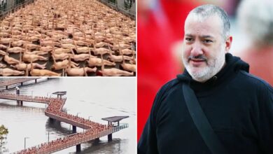 New York artist Spencer Tunick shoots mass nude photo on Story Bridge