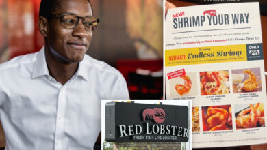 Red Lobster’s new CEO Damola Adamolekun admits the endless shrimp deal caused “chaos”