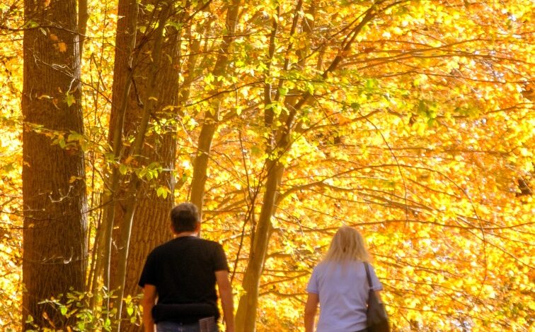 A couple walking on a path through the North Woods at Storm King Art Center during Fall with a backdrop of trees and foliage