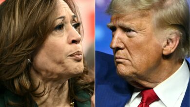 Trump backs America, Harris supports Iran and China