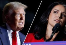 Donald Trump, left, Tulsi Gabbard, right