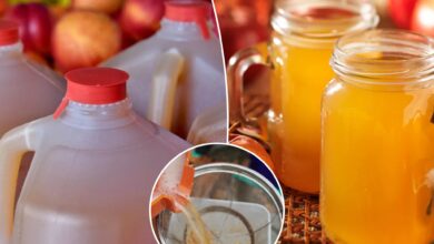 Unpasteurized apple cider can make you sick: health agencies