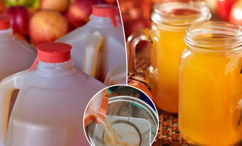 Unpasteurized apple cider can make you sick: health agencies