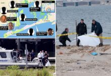 'Unprecedented' 8 dead bodies wash up in Jamaica Bay area in past year