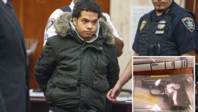 30 members of feuding NYC street gangs busted after bloody turf war that killed pregnant teen: 'A climate of fear'