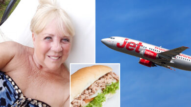 Grandma almost arrested for refusing to pay for $11 tuna sandwich during flight