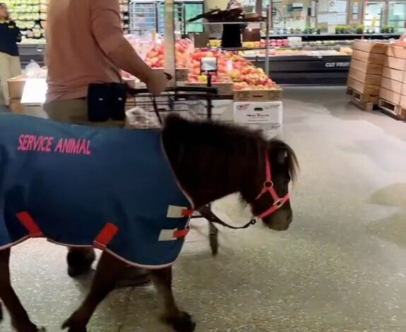 A screen shot of the man and horse shopping in Wegmans.