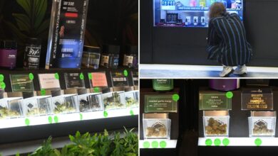 NY smokin' it with pot sales, nears $1 billion mark