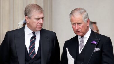 Prince Andrew Needs Money Amid Royal Lodge Fight With King Charles