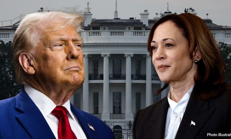 Trump, Harris in photo illustration