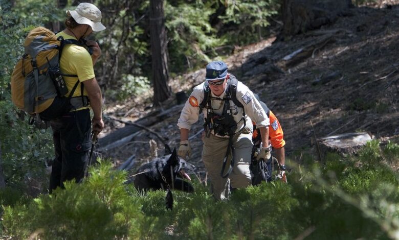 2 Oregon men die while searching for Sasquatch on Christmas Eve, police say