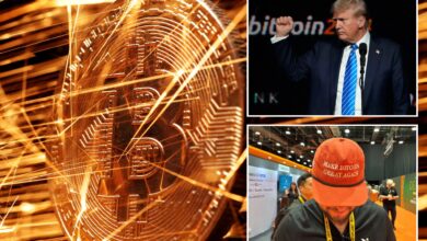 Bitcoin tops $107K for first time as Trump boosts hopes for strategic reserve