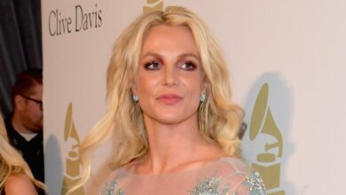 Britney Spears Sons 'Would Like to See Her Forgive' Jamie Spears (EXCL)