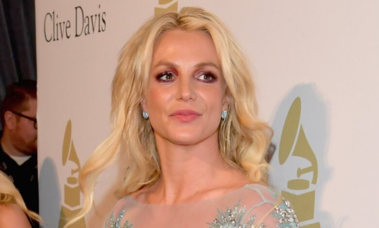 Britney Spears Sons 'Would Like to See Her Forgive' Jamie Spears (EXCL)