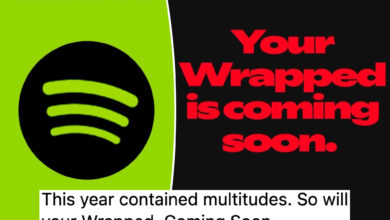 Embarrassed Spotify users are hacking their 'Wrapped' results