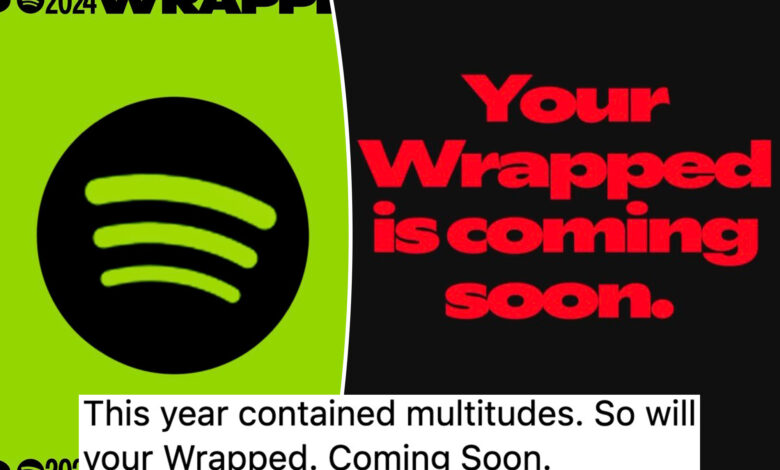 Embarrassed Spotify users are hacking their 'Wrapped' results