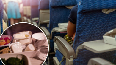 Flight passenger calls out fellow flyers for bad habit, shares fix for problem