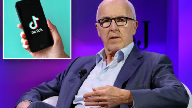 Frank McCourt's TikTok bid has $20B in 'informal commitments': report