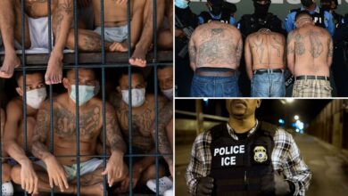 MS-13 gangster wanted for murder in El Salvador arrested in NJ: ICE