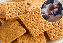 'Primal' origins of graham crackers are a shocker — it's all about 'the urge to have sex'