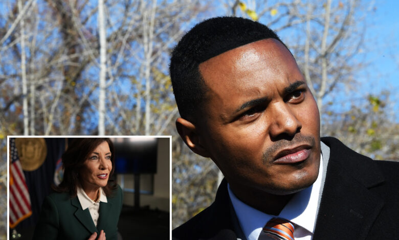 Ritchie Torres calls for bid-rigging probe of Hochul's $9B home care contract