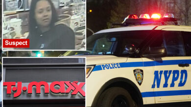 TJ Maxx security guard slashed in face after trying to stop female shoplifters in NYC store