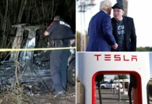 Trump transition team seeks to scrap car-crash reporting rule opposed by Elon Musk's Tesla