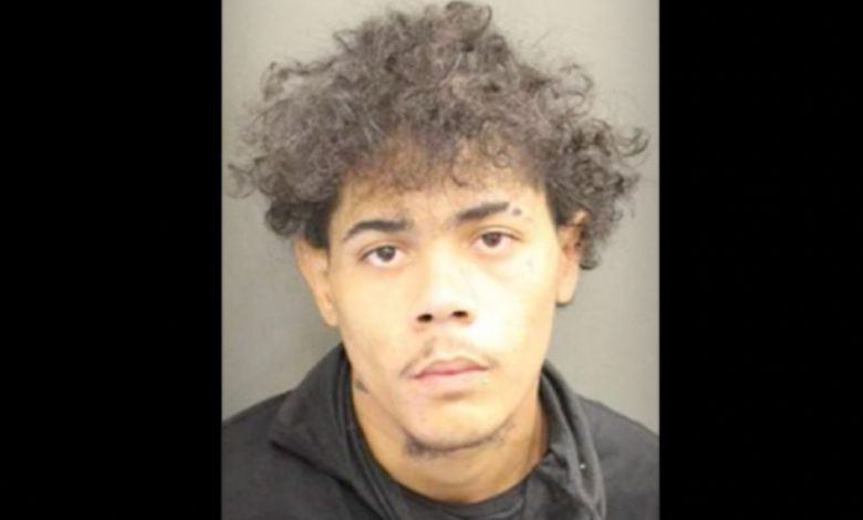 Florida thug caught on video violently snatching lottery winnings from 83-year-old woman, who falls to the ground amid fight