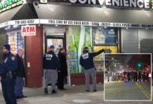 NYC armed 50-year-old shot by NYPD after pointing gun at sergeant in Brooklyn