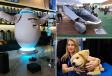 Robot bartenders, flying cars, automaton cats and dogs lead way at tech fest