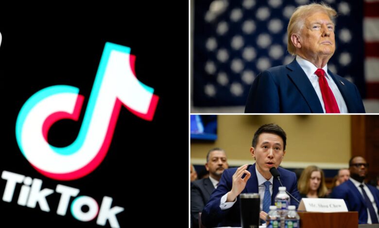 TikTok's brief shutdown blasted as likely 'deliberate PR stunt' to create 'sense of panic'