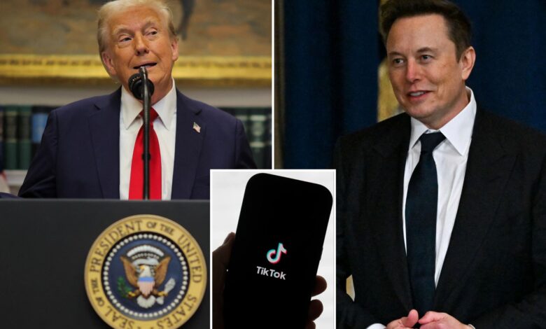 Trump welcomes idea of Elon Musk buying TikTok — if billionaire wants it
