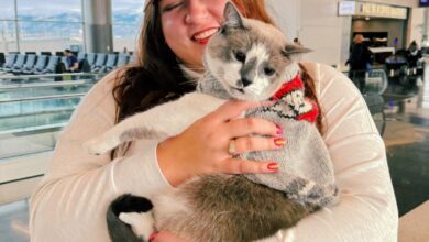 Janelle Rupkalvis and her four-year-old, part-Siamese pet cat, Asparagus, in an airport