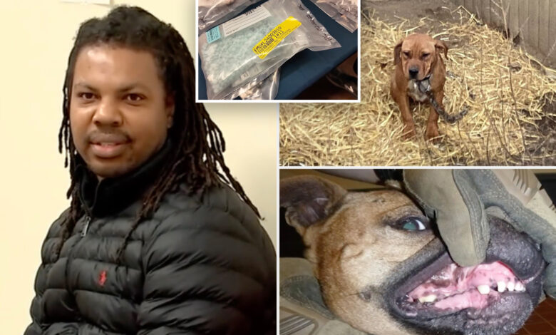 Long Island drug dealer accused of selling 'enough fentanyl to kill more than 65,000 people'