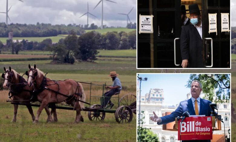 NY's Amish, vaccinations and the battle for the 'greater good'