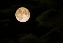 12 Zodiac Signs April 20 through 26.