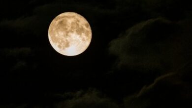 12 Zodiac Signs April 20 through 26.