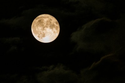 12 Zodiac Signs April 20 through 26.