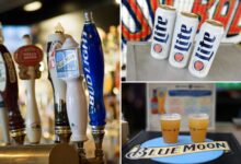 America's favorite beers revealed — see which is most popular in your state