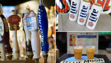 America's favorite beers revealed — see which is most popular in your state
