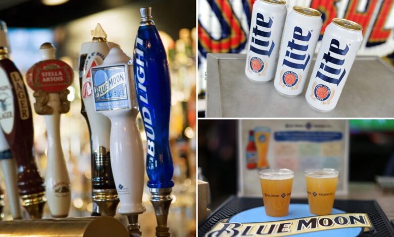 America's favorite beers revealed — see which is most popular in your state
