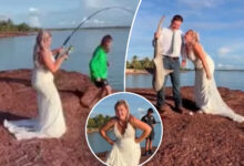 Bride catches shark while taking wedding photos at beach in unforgettable moment