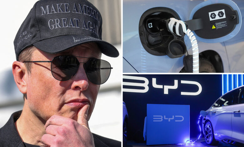 Chinese electric car giant BYD's profit doubles in blow to Tesla
